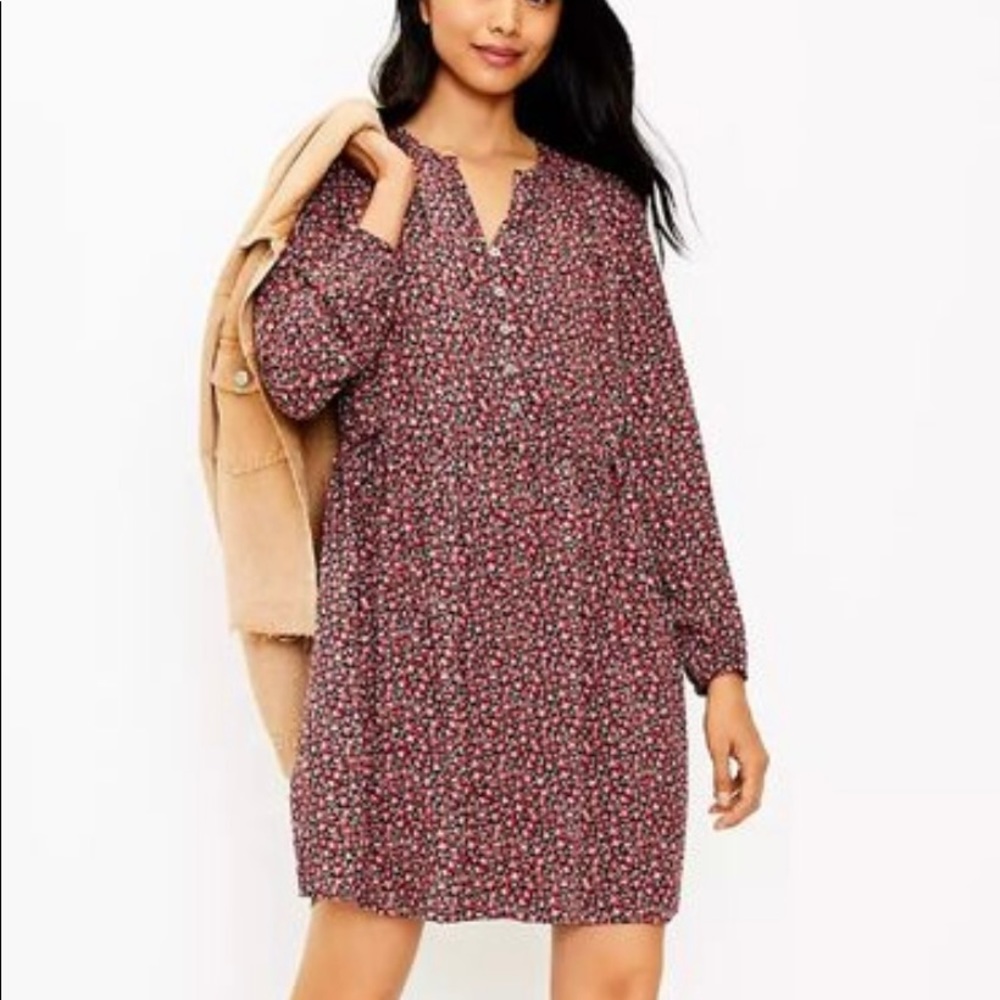 Loft, floral side tie swing dress, NWT, small